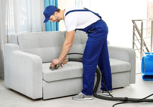 Dry cleaner’s employee removing dirt from furniture in flat Dry cleaner's employee removing dirt from furniture in flat